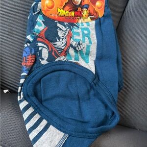 Dragon Ball Z Blue and Gray Boys Briefs